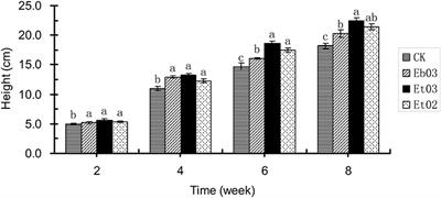 The Effect of Seed-Borne Fungi and Epichloë Endophyte on Seed Germination and Biomass of Elymus sibiricus